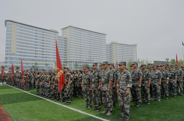 图片4 图片4